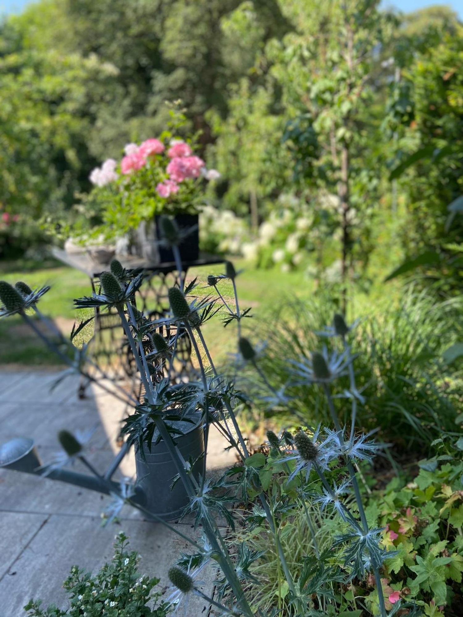 Romantik Idyll Am Tiefental Konigsbruck Kültér fotó